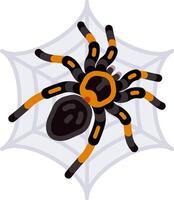 Spider on web illustration vector