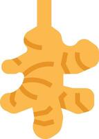 A ginger root is shown in a cartoon style vector