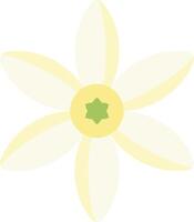A yellow flower with green center on a white background vector