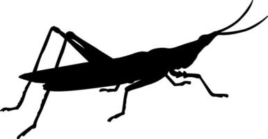 A silhouette of a grasshopper on a white background vector