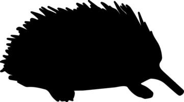An echidna is shown in silhouette on a white background vector