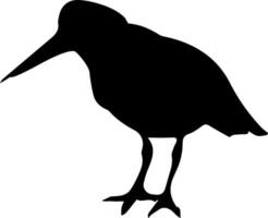 A silhouette of a bird standing on a white background vector