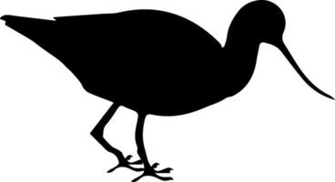 A silhouette of a bird with long legs vector