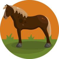 A brown horse standing in a field vector