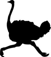 An ostrich silhouette is shown on a white background vector