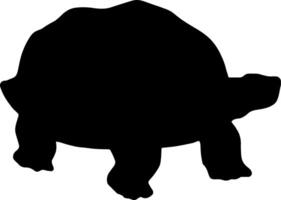 A turtle silhouette on a white background vector