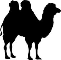 A camel silhouette is shown on a white background vector