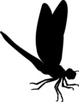 A silhouette of a dragonfly on a white background vector