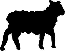 A black silhouette of a sheep standing on a white background vector