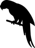 A black and white silhouette of a parrot on a branch vector