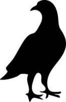 A black silhouette of a bird standing on its legs vector
