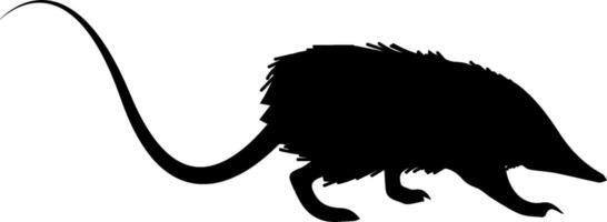 An armadillo silhouette is shown on a white background vector