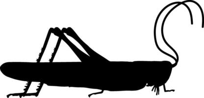 Silhouette of a grasshopper on a white background vector