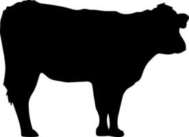 A cow silhouette is shown on a white background vector