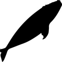 A silhouette of a whale on a white background vector