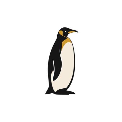King penguin standing proudly on the ice