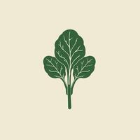 Fresh spinach leaves with detailed leaf veins in green color vector
