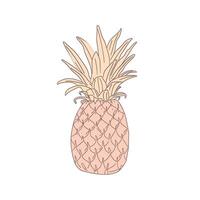 Simple drawing of a pineapple on plain background vector