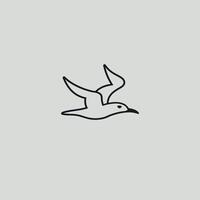 Seagull in flight over a light background vector