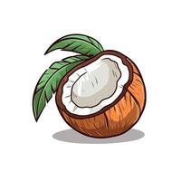 Coconut with green leaf on a white background vector
