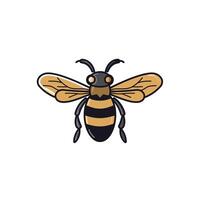 Bee illustration with distinct black and yellow markings vector