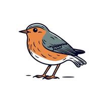 Colorful bird standing on the ground in a natural setting during daylight hours vector