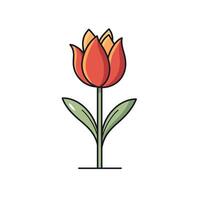 Bright red tulip with yellow accents standing tall against a clean background vector