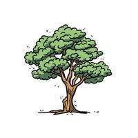 Beautiful green tree with thick leaves in a natural setting during daylight vector