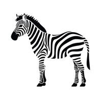 Unique black and white zebra standing in a natural pose against a plain background vector