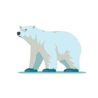 Polar bear walking on ice in a bright and simplistic style during a winter setting vector