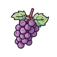 Cluster of grapes with green leaves on branch showcasing vibrant purple color vector