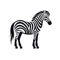 Striking black and white zebra standing alone in a simple graphic design vector