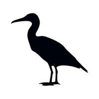 Elegant silhouette of a heron standing on one leg against a plain background vector