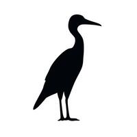 Elegant silhouette of a heron standing gracefully in profile view vector