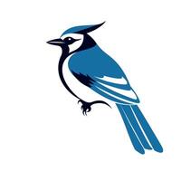Blue jay perched on a branch showcasing its vibrant blue and white plumage in a natural setting vector