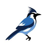 Blue jay perched gracefully on a branch in a natural setting capturing attention vector