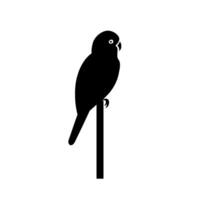 Colorful parrot perched on a slender branch against a plain background in daylight vector
