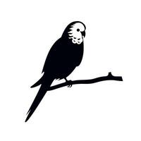 Parakeet perched on a branch against a minimalist background vector
