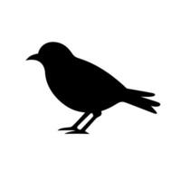 Black silhouette of a small bird perched on a branch in a minimalistic style vector