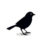 Black silhouette of a bird standing on a white background in a stylized design vector