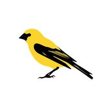 Bright yellow bird perched elegantly with striking black features vector