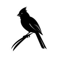 Bird perched on a branch showcasing distinct silhouette and elegant posture in nature vector