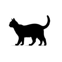 Black cat walking elegantly across a light background vector