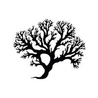 Artistic black silhouette of a tree with intricate branches against a plain background vector