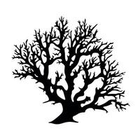 Detailed silhouette of a leafless tree with intricate branches and twigs vector
