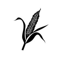 Stylized illustration of corn cob with leaves displaying vibrant details vector