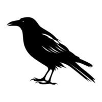 Black silhouette of a crow perched on a branch against a light background vector