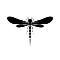 Dragonfly illustration on a plain background showcasing delicate features and symmetrical wings vector