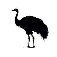 Silhouette of a tall bird with long legs and feathers standing on white background vector