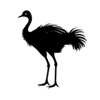 Elegant silhouette of a bird standing on two legs with feathers flowing vector